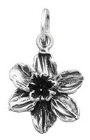 Charm Giovanni Raspini Donna Charms in Argento 07759 - 07759